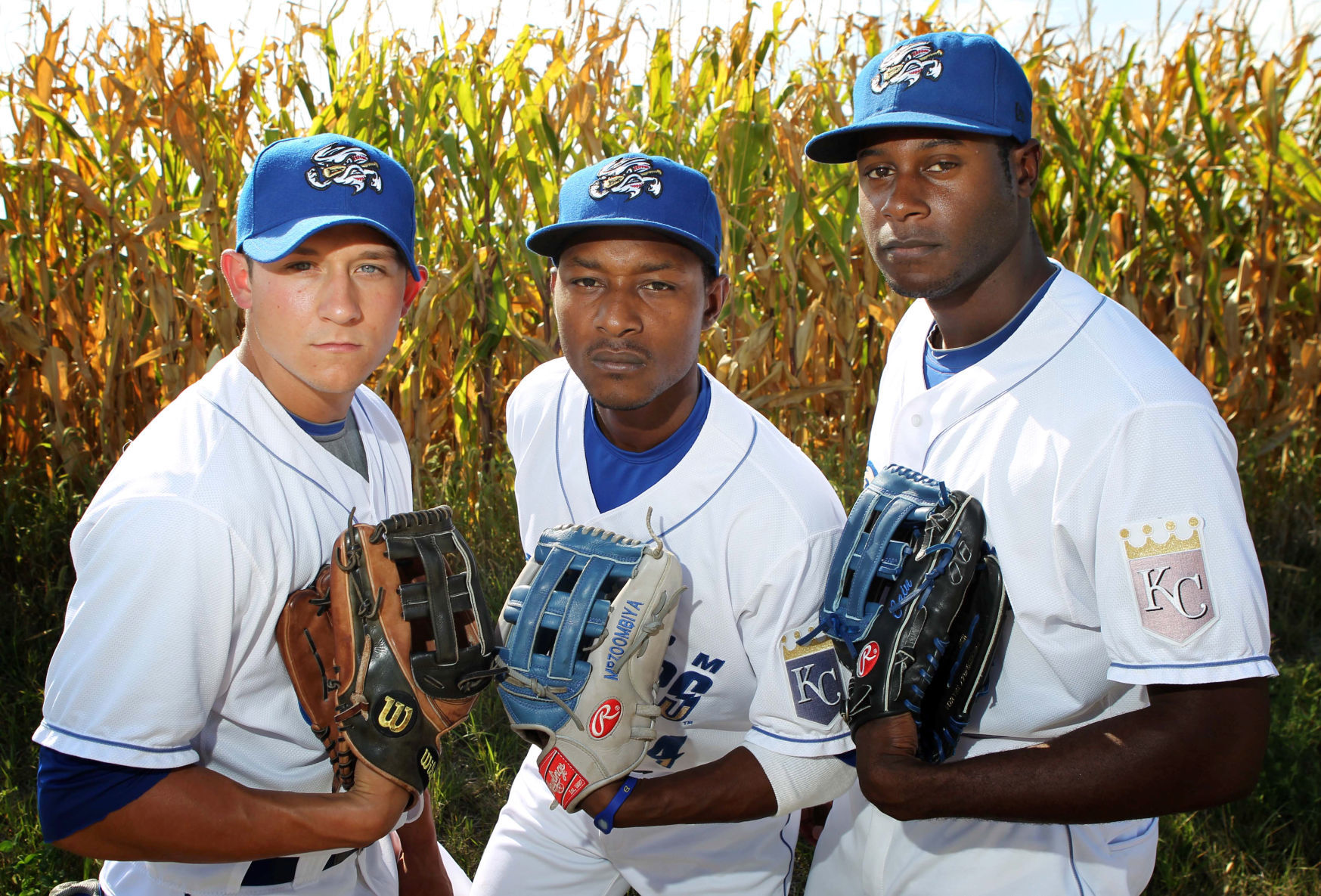 374148 CHASERCORN